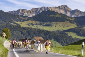 Appenzell, Appenzell Ausserrohden, Appenzeller Hinterland, Autumn, Brauchtum, Fall, Herbst, Kühe, Ostschweiz, Schweiz, Sennen, Suisse, Switzerland, Säntis, Tracht, Urnaesch, Urnäsch, Viehschau, tradition