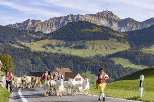 Appenzell, Appenzell Ausserrohden, Appenzeller Hinterland, Autumn, Brauchtum, Fall, Herbst, Kühe, Ostschweiz, Schweiz, Sennen, Suisse, Switzerland, Säntis, Tracht, Urnaesch, Urnäsch, Viehschau, tradition