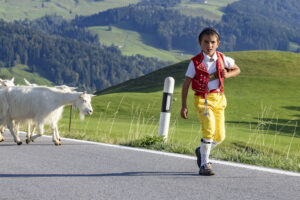 Appenzell, Appenzell Ausserrohden, Appenzeller Hinterland, Autumn, Brauchtum, Fall, Herbst, Kühe, Ostschweiz, Schweiz, Sennen, Suisse, Switzerland, Tracht, Urnaesch, Urnäsch, Viehschau, tradition