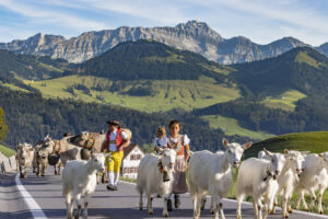 Appenzell, Appenzell Ausserrohden, Appenzeller Hinterland, Autumn, Brauchtum, Fall, Herbst, Kühe, Ostschweiz, Schweiz, Sennen, Suisse, Switzerland, Säntis, Tracht, Urnaesch, Urnäsch, Viehschau, tradition