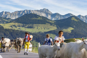 Appenzell, Appenzell Ausserrohden, Appenzeller Hinterland, Autumn, Brauchtum, Fall, Herbst, Kühe, Ostschweiz, Schweiz, Sennen, Suisse, Switzerland, Säntis, Tracht, Urnaesch, Urnäsch, Viehschau, tradition