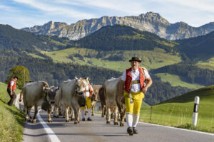 Appenzell, Appenzell Ausserrohden, Appenzeller Hinterland, Autumn, Brauchtum, Fall, Herbst, Kühe, Ostschweiz, Schweiz, Sennen, Suisse, Switzerland, Säntis, Tracht, Urnaesch, Urnäsch, Viehschau, tradition