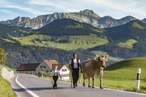 Appenzell, Appenzell Ausserrohden, Appenzeller Hinterland, Autumn, Brauchtum, Fall, Herbst, Kühe, Ostschweiz, Schweiz, Sennen, Suisse, Switzerland, Tracht, Urnaesch, Urnäsch, Viehschau, tradition