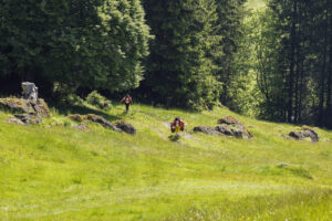 Alpabfahrt, Alpaufzug, Alpfahrt, Appenzell, Appenzell Innerrhoden, Schweiz, Schwende, Sennen, Suisse, Switzerland, Tracht, Öberefahre
