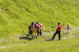 Alpabfahrt, Alpaufzug, Alpfahrt, Appenzell, Appenzell Innerrhoden, Schweiz, Schwende, Sennen, Suisse, Switzerland, Tracht, Öberefahre