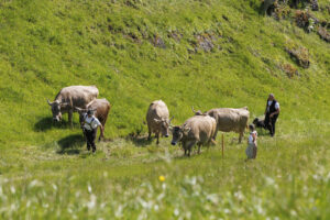 Alpabfahrt, Alpaufzug, Alpfahrt, Appenzell, Appenzell Innerrhoden, Schweiz, Schwende, Sennen, Suisse, Switzerland, Tracht, Öberefahre