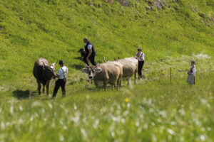 Alpabfahrt, Alpaufzug, Alpfahrt, Appenzell, Appenzell Innerrhoden, Schweiz, Schwende, Sennen, Suisse, Switzerland, Tracht, Öberefahre
