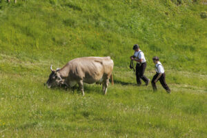 Alpabfahrt, Alpaufzug, Alpfahrt, Appenzell, Appenzell Innerrhoden, Schweiz, Schwende, Sennen, Suisse, Switzerland, Tracht, Öberefahre