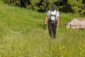 Alpabfahrt, Alpaufzug, Alpfahrt, Appenzell, Appenzell Innerrhoden, Schweiz, Schwende, Sennen, Suisse, Switzerland, Tracht, Öberefahre