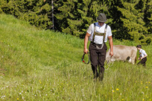 Alpabfahrt, Alpaufzug, Alpfahrt, Appenzell, Appenzell Innerrhoden, Schweiz, Schwende, Sennen, Suisse, Switzerland, Tracht, Öberefahre