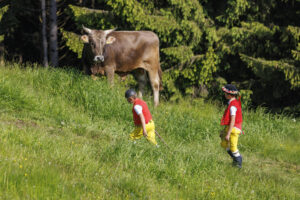 Alpabfahrt, Alpaufzug, Alpfahrt, Appenzell, Appenzell Innerrhoden, Schweiz, Schwende, Sennen, Suisse, Switzerland, Tracht, Öberefahre