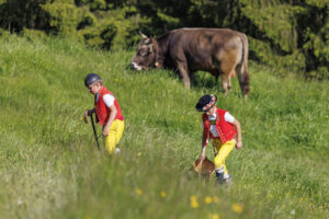 Alpabfahrt, Alpaufzug, Alpfahrt, Appenzell, Appenzell Innerrhoden, Schweiz, Schwende, Sennen, Suisse, Switzerland, Tracht, Öberefahre