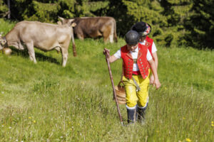 Alpabfahrt, Alpaufzug, Alpfahrt, Appenzell, Appenzell Innerrhoden, Schweiz, Schwende, Sennen, Suisse, Switzerland, Tracht, Öberefahre