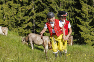 Alpabfahrt, Alpaufzug, Alpfahrt, Appenzell, Appenzell Innerrhoden, Schweiz, Schwende, Sennen, Suisse, Switzerland, Tracht, Öberefahre
