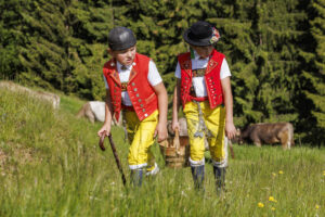 Alpabfahrt, Alpaufzug, Alpfahrt, Appenzell, Appenzell Innerrhoden, Schweiz, Schwende, Sennen, Suisse, Switzerland, Tracht, Öberefahre