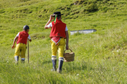 Alpabfahrt, Alpaufzug, Alpfahrt, Appenzell, Appenzell Innerrhoden, Schweiz, Schwende, Sennen, Suisse, Switzerland, Tracht, Öberefahre