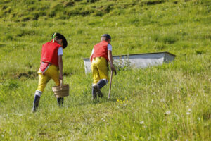 Alpabfahrt, Alpaufzug, Alpfahrt, Appenzell, Appenzell Innerrhoden, Schweiz, Schwende, Sennen, Suisse, Switzerland, Tracht, Öberefahre