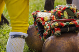 Alpabfahrt, Alpaufzug, Alpfahrt, Appenzell, Appenzell Innerrhoden, Schweiz, Schwende, Sennen, Suisse, Switzerland, Tracht, Öberefahre