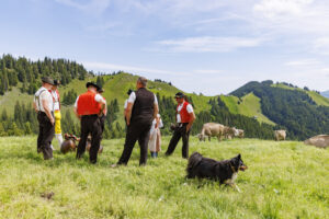 Alpabfahrt, Alpaufzug, Alpfahrt, Appenzell, Appenzell Innerrhoden, Schweiz, Schwende, Sennen, Suisse, Switzerland, Tracht, Öberefahre