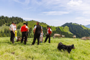 Alpabfahrt, Alpaufzug, Alpfahrt, Appenzell, Appenzell Innerrhoden, Schweiz, Schwende, Sennen, Suisse, Switzerland, Tracht, Öberefahre