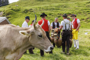 Alpabfahrt, Alpaufzug, Alpfahrt, Appenzell, Appenzell Innerrhoden, Schweiz, Schwende, Sennen, Suisse, Switzerland, Tracht, Öberefahre