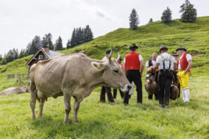 Alpabfahrt, Alpaufzug, Alpfahrt, Appenzell, Appenzell Innerrhoden, Schweiz, Schwende, Sennen, Suisse, Switzerland, Tracht, Öberefahre