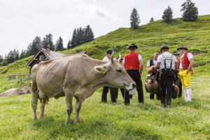 Alpabfahrt, Alpaufzug, Alpfahrt, Appenzell, Appenzell Innerrhoden, Schweiz, Schwende, Sennen, Suisse, Switzerland, Tracht, Öberefahre