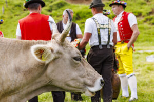 Alpabfahrt, Alpaufzug, Alpfahrt, Appenzell, Appenzell Innerrhoden, Schweiz, Schwende, Sennen, Suisse, Switzerland, Tracht, Öberefahre