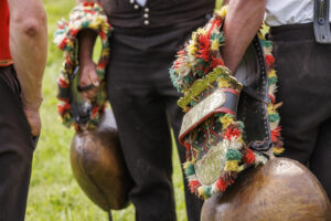 Alpabfahrt, Alpaufzug, Alpfahrt, Appenzell, Appenzell Innerrhoden, Schweiz, Schwende, Sennen, Suisse, Switzerland, Tracht, Öberefahre