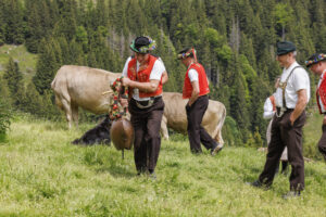 Alpabfahrt, Alpaufzug, Alpfahrt, Appenzell, Appenzell Innerrhoden, Schweiz, Schwende, Sennen, Suisse, Switzerland, Tracht, Öberefahre