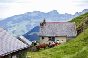 Alpabfahrt, Alpaufzug, Alpfahrt, Appenzell, Appenzell Innerrhoden, Schweiz, Schwende, Sennen, Suisse, Switzerland, Tracht, Öberefahre