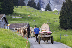 Alpabfahrt, Alpaufzug, Alpen, Alpfahrt, Appenzell, Appenzell Ausserrohden, Appenzeller Hinterland, Hundwil, Ostschweiz, Schweiz, Schwägalp, Sennen, Suisse, Switzerland, Säntis, Tracht, Urnaesch, tradition, Öberefahre