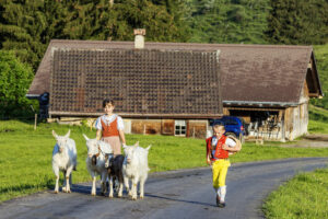 Alpabfahrt, Alpaufzug, Alpen, Alpfahrt, Appenzell, Appenzell Ausserrohden, Appenzeller Hinterland, Hundwil, Ostschweiz, Schweiz, Schwägalp, Sennen, Suisse, Switzerland, Säntis, Tracht, Urnaesch, tradition, Öberefahre