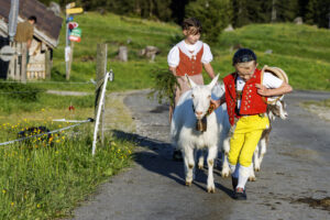 Alpabfahrt, Alpaufzug, Alpen, Alpfahrt, Appenzell, Appenzell Ausserrohden, Appenzeller Hinterland, Hundwil, Ostschweiz, Schweiz, Schwägalp, Sennen, Suisse, Switzerland, Säntis, Tracht, Urnaesch, tradition, Öberefahre