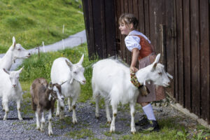 Alpabfahrt, Alpaufzug, Alpen, Alpfahrt, Appenzell, Appenzell Ausserrohden, Appenzeller Hinterland, Hundwil, Ostschweiz, Schweiz, Schwägalp, Sennen, Suisse, Switzerland, Säntis, Tracht, Urnaesch, tradition, Öberefahre