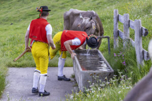 Alpabfahrt, Alpaufzug, Alpen, Alpfahrt, Appenzell, Appenzell Ausserrohden, Appenzeller Hinterland, Hundwil, Ostschweiz, Schweiz, Schwägalp, Sennen, Suisse, Switzerland, Säntis, Tracht, Urnaesch, tradition, Öberefahre
