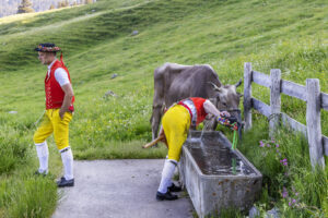 Alpabfahrt, Alpaufzug, Alpen, Alpfahrt, Appenzell, Appenzell Ausserrohden, Appenzeller Hinterland, Hundwil, Ostschweiz, Schweiz, Schwägalp, Sennen, Suisse, Switzerland, Säntis, Tracht, Urnaesch, tradition, Öberefahre