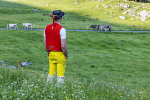 Alpabfahrt, Alpaufzug, Alpen, Alpfahrt, Appenzell, Appenzell Ausserrohden, Appenzeller Hinterland, Hundwil, Ostschweiz, Schweiz, Schwägalp, Sennen, Suisse, Switzerland, Säntis, Tracht, Urnaesch, tradition, Öberefahre