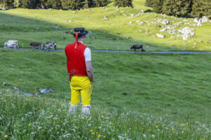 Alpabfahrt, Alpaufzug, Alpen, Alpfahrt, Appenzell, Appenzell Ausserrohden, Appenzeller Hinterland, Hundwil, Ostschweiz, Schweiz, Schwägalp, Sennen, Suisse, Switzerland, Säntis, Tracht, Urnaesch, tradition, Öberefahre