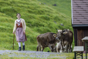 Alpabfahrt, Alpaufzug, Alpen, Alpfahrt, Appenzell, Appenzell Ausserrohden, Appenzeller Hinterland, Hundwil, Ostschweiz, Schweiz, Schwägalp, Sennen, Suisse, Switzerland, Säntis, Tracht, Urnaesch, tradition, Öberefahre