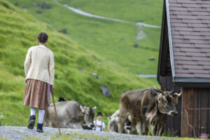Alpabfahrt, Alpaufzug, Alpen, Alpfahrt, Appenzell, Appenzell Ausserrohden, Appenzeller Hinterland, Hundwil, Ostschweiz, Schweiz, Schwägalp, Sennen, Suisse, Switzerland, Säntis, Tracht, Urnaesch, tradition, Öberefahre