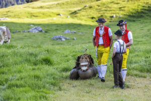 Alpabfahrt, Alpaufzug, Alpen, Alpfahrt, Appenzell, Appenzell Ausserrohden, Appenzeller Hinterland, Hundwil, Ostschweiz, Schweiz, Schwägalp, Sennen, Suisse, Switzerland, Säntis, Tracht, Urnaesch, tradition, Öberefahre