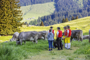 Alpabfahrt, Alpaufzug, Alpen, Alpfahrt, Appenzell, Appenzell Ausserrohden, Appenzeller Hinterland, Hundwil, Ostschweiz, Schweiz, Schwägalp, Sennen, Suisse, Switzerland, Säntis, Tracht, Urnaesch, tradition, Öberefahre