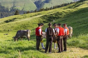 Alpabfahrt, Alpaufzug, Alpen, Alpfahrt, Appenzell, Appenzell Ausserrohden, Appenzeller Hinterland, Hundwil, Ostschweiz, Schweiz, Schwägalp, Sennen, Suisse, Switzerland, Säntis, Tracht, Urnaesch, tradition, Öberefahre