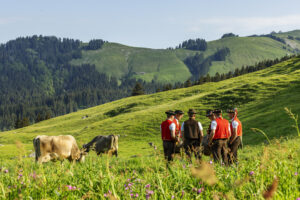 Alpabfahrt, Alpaufzug, Alpen, Alpfahrt, Appenzell, Appenzell Ausserrohden, Appenzeller Hinterland, Hundwil, Ostschweiz, Schweiz, Schwägalp, Sennen, Suisse, Switzerland, Säntis, Tracht, Urnaesch, tradition, Öberefahre
