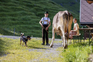 Alpabfahrt, Alpaufzug, Alpen, Alpfahrt, Appenzell, Appenzell Ausserrohden, Appenzeller Hinterland, Hundwil, Ostschweiz, Schweiz, Schwägalp, Sennen, Suisse, Switzerland, Säntis, Tracht, Urnaesch, tradition, Öberefahre