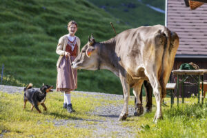 Alpabfahrt, Alpaufzug, Alpen, Alpfahrt, Appenzell, Appenzell Ausserrohden, Appenzeller Hinterland, Hundwil, Ostschweiz, Schweiz, Schwägalp, Sennen, Suisse, Switzerland, Säntis, Tracht, Urnaesch, tradition, Öberefahre