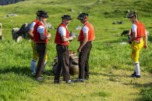 Alpabfahrt, Alpaufzug, Alpen, Alpfahrt, Appenzell, Appenzell Ausserrohden, Appenzeller Hinterland, Hundwil, Ostschweiz, Schweiz, Schwägalp, Sennen, Suisse, Switzerland, Säntis, Tracht, Urnaesch, tradition, Öberefahre