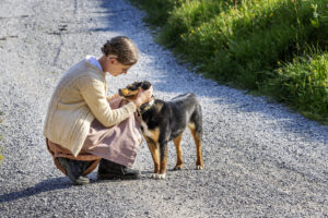 Alpabfahrt, Alpaufzug, Alpen, Alpfahrt, Appenzell, Appenzell Ausserrohden, Appenzeller Hinterland, Hundwil, Ostschweiz, Schweiz, Schwägalp, Sennen, Suisse, Switzerland, Säntis, Tracht, Urnaesch, tradition, Öberefahre