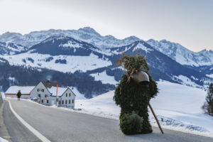 Alpen, Appenzell Ausserrohden, Brauchtum, Ostschweiz, Schweiz, Silvesterchlaus, Silvesterklausen, Suisse, Switzerland, Urnäsch